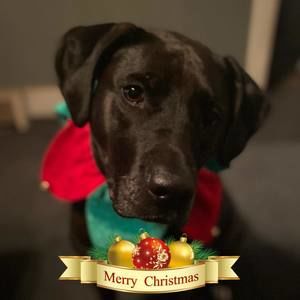 Meet your Posher, Angie